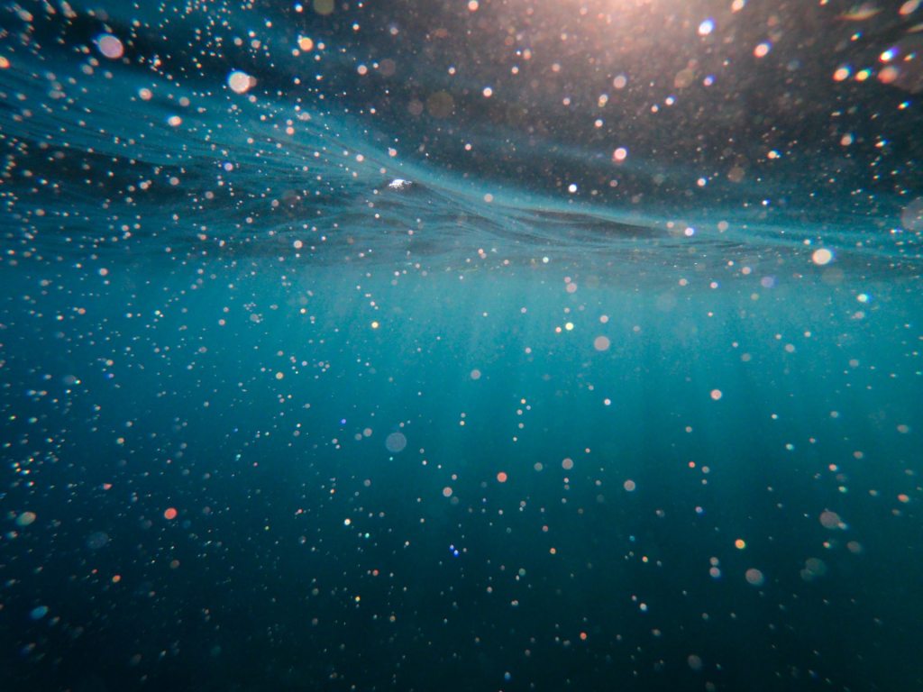 Foto subaquática mostrando a luz entrando na água e várias partículas minúsculas brilhando ao refletir a luz.